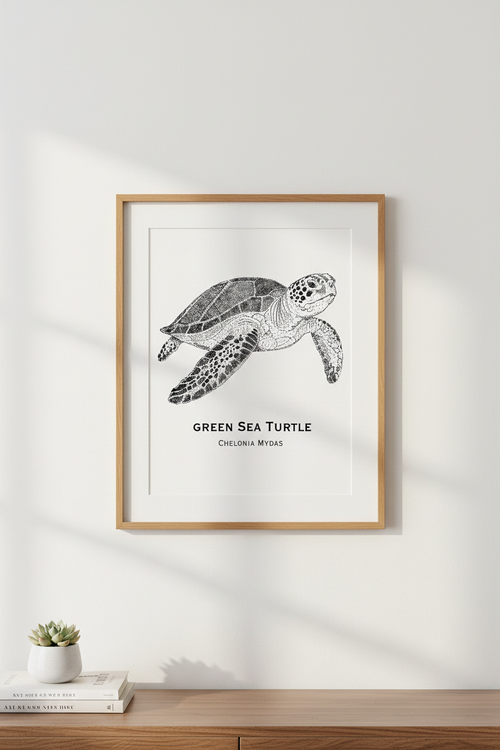 Green Sea Turtle oak framed on wall