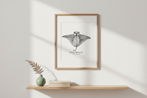 Manta Ray oak framed