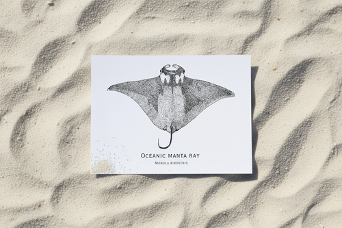 Manta Ray sand flat lay